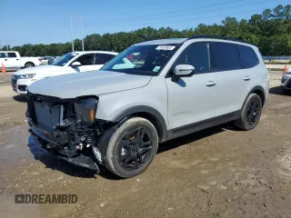 2025 Kia Telluride EX X-Line with VIN 5XYP3DGC2SG612002, listed as a Copart auction lot 55855605 with 2,620 mi miles and Salvage title. Bid and sale history available at DreamBid. Image 1.