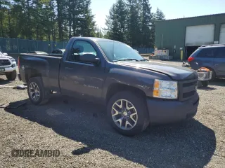 2010 Chevrolet Silverado 1500 Work Truck with VIN 1GCPCPEX1AZ202279, listed as a Copart auction lot 55144475 with 74,977 mi miles and Salvage Title. Bid and sale history available at DreamBid. Image 4.