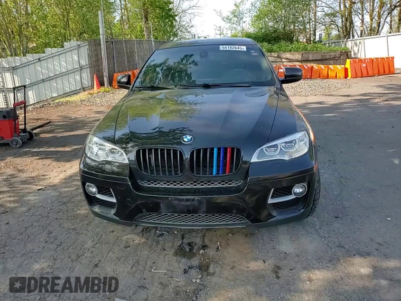 2013 BMW X6 xDrive50i z VIN 5UXFG8C5XDL591761, wystawiony jako Copart lot #54182645 z przebiegiem 117 250 mil mil oraz Szkoda całkowita • Salvage title. Historia ofert i sprzedaży dostępna na DreamBid. Obrazek 14.