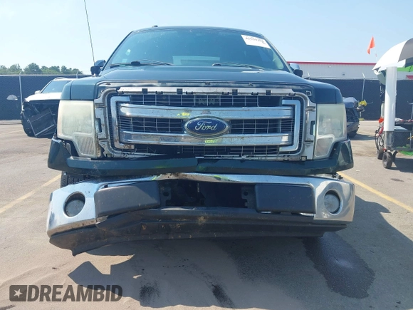 2013 Ford F-150 XL with VIN 1FTFW1CFXDFB06022, listed as a IAAI auction lot 42559296 with 306,979 mi miles and . Bid and sale history available at DreamBid. Image 6.