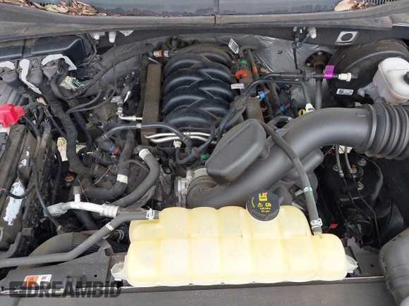 2019 Ford F-150 XL with VIN 1FTEW1C52KKC39798, listed as a IAAI auction lot 40537962 with Not Provided miles and . Bid and sale history available at DreamBid. Image 10.