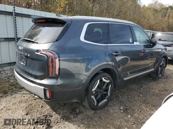 2024 Kia Telluride EX with VIN 5XYP34GC2RG425904, listed as a Copart auction lot 78142484 with 9,696 mi miles and Salvage Title. Bid and sale history available at DreamBid. Image 3.