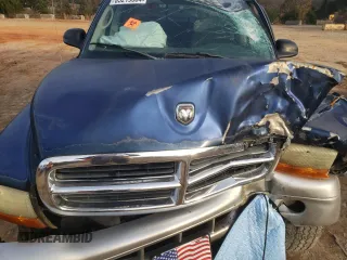 2002 Dodge Dakota SLT with VIN 1B7HG48N62S652764, listed as a Copart auction lot 85219384 with 0 mi miles and Salvage Title. Bid and sale history available at carsss.com. Image 11.