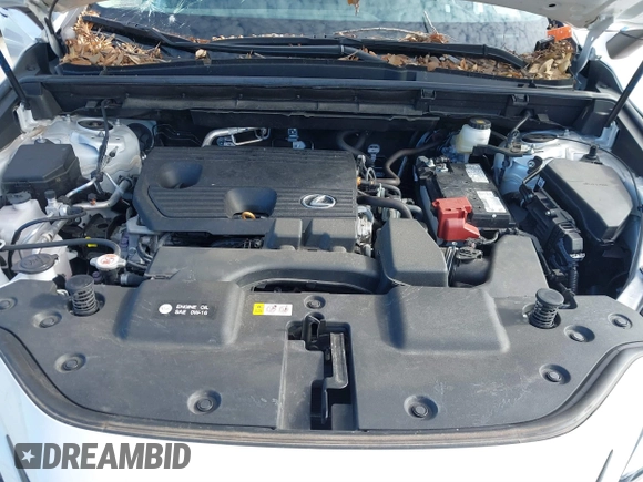 2024 Lexus NX 250 с VIN 2T2ADCAZ8RC009907, выставлен на аукционе IAAI как лот 41412606 с пробегом 14 019 миль миль и . История ставок и продаж доступна на DreamBid. Изображение 10.