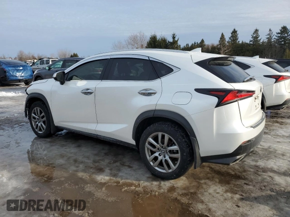 2020 Lexus NX 300 with VIN JTJGARDZ6L5014742, listed as a Copart auction lot 43014355 with 13,788 mi miles and Salvage title. Bid and sale history available at DreamBid. Image 2.