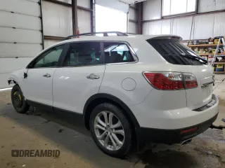 2012 Mazda CX-9 Grand Touring with VIN JM3TB3DA3C0344719, listed as a Copart auction lot 49253825 with 177,564 mi miles and Salvage Title. Bid and sale history available at carsss.com. Image 2.