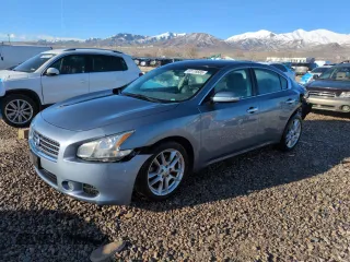 2010 Nissan Maxima 3.5 S with VIN 1N4AA5AP6AC869914, listed as a Copart auction lot 50179505 with 0 mi miles and Salvage Title. Bid and sale history available at carsss.com. Image 1.