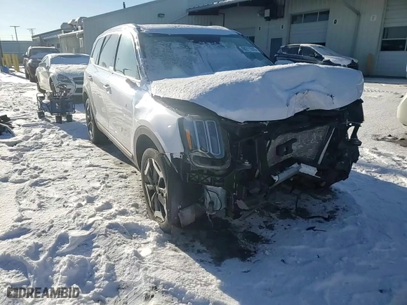 2023 Kia Telluride S with VIN 5XYP6DGC7PG345454, listed as a Copart auction lot 88211515 with 0 mi miles and Salvage Title. Bid and sale history available at carsss.com. Image 12.