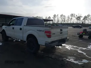 2013 Ford F-150 XL with VIN 1FTFW1EF1DKD13578, listed as a IAAI auction lot 41590263 with 192,230 mi miles and . Bid and sale history available at DreamBid. Image 3.