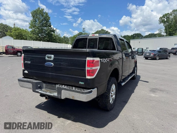 2010 Ford F-150 XL with VIN 1FTFW1EV0AFB73518, listed as a Copart auction lot 62685025 with 125,449 mi miles and Clean title. Bid and sale history available at DreamBid. Image 3.