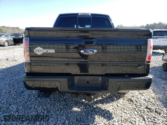 2010 Ford F-150 with VIN 1FTEW1CV6AFA09527, listed as a Copart auction lot 41410035 with 191,889 mi miles and Salvage title. Bid and sale history available at DreamBid. Image 6.