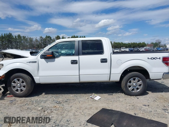 2013 Ford F-150 XL with VIN 1FTFW1EF7DKD34810, listed as a IAAI auction lot 41919083 with 158,531 mi miles. Bid and sale history available at carsss.com. Image 14.
