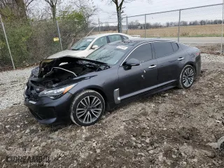 2019 Kia Stinger Premium with VIN KNAE25LA3K6058943, listed as a Copart auction lot 82010444 with 71,655 mi miles and Salvage Title. Bid and sale history available at carsss.com. Image 1.