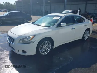 2011 Nissan Maxima SV with VIN 1N4AA5AP4BC854958, listed as a IAAI auction lot 42466528 with 229,955 mi miles and . Bid and sale history available at DreamBid. Image 2.