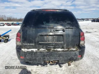 2008 Chevrolet TrailBlazer 1LT with VIN 1GNDT13S782123152, listed as a Copart auction lot 45971355 with 229,630 mi miles and Salvage Title. Bid and sale history available at DreamBid. Image 6.