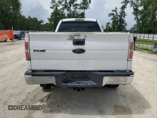 2009 Ford F-150 XL with VIN 1FTRF12W89KB56933, listed as a Copart auction lot 61101415 with 189,462 mi miles and Salvage title. Bid and sale history available at DreamBid. Image 6.