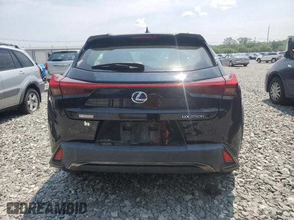 2019 Lexus UX 250h with VIN JTHU9JBH2K2014259, listed as a Copart auction lot 59742055 with 48,788 mi miles and Salvage title. Bid and sale history available at DreamBid. Image 6.