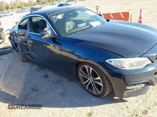 2015 BMW 2 Series 228i with VIN WBA1F5C53FV257153, listed as a IAAI auction lot 41294335 with 99,919 mi miles. Bid and sale history available at carsss.com. Image 1.