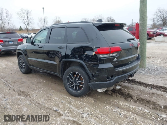 2019 Jeep Grand Cherokee Trailhawk with VIN 1C4RJFLT3KC554292, listed as a IAAI auction lot 41953049 with 31,672 mi miles and . Bid and sale history available at DreamBid. Image 3.