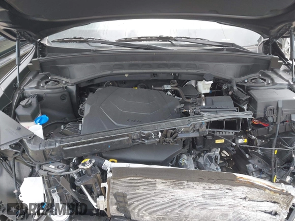 2025 Kia Telluride S with VIN 5XYP6DGC3SG612078, listed as a IAAI auction lot 42694686 with 12,167 mi miles and . Bid and sale history available at DreamBid. Image 10.