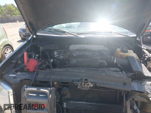 2011 Ford F-150 XL with VIN 1FTFX1EF4BFA98684, listed as a IAAI auction lot 42561624 with 163,066 mi miles and . Bid and sale history available at DreamBid. Image 10.