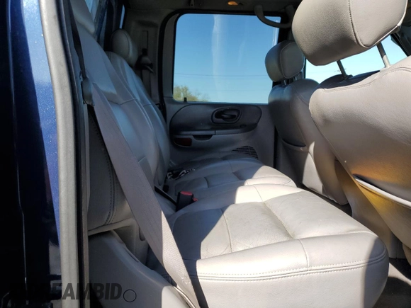 2003 Ford F-150 XLT with VIN 1FTRW08L33KB57468, listed as a Copart auction lot 53745075 with 233,797 mi miles and Clean Title. Bid and sale history available at carsss.com. Image 10.