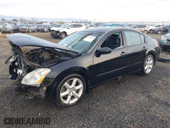 2004 Nissan Maxima SL with VIN 1N4BA41E14C890140, listed as a IAAI auction lot 41018281 with 218,229 mi miles and . Bid and sale history available at DreamBid. Image 23.