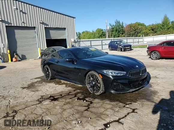 2019 BMW 8 Series M850i xDrive with VIN WBABC4C50KBJ35899, listed as a Copart auction lot 74049574 with 60,220 mi miles and Salvage Title. Bid and sale history available at carsss.com. Image 13.
