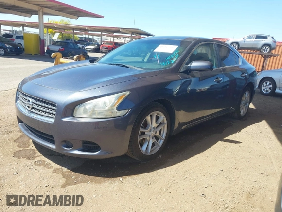 2011 Nissan Maxima SV with VIN 1N4AA5AP7BC836664, listed as a IAAI auction lot 42087993 with 117,328 mi miles and . Bid and sale history available at DreamBid. Image 2.