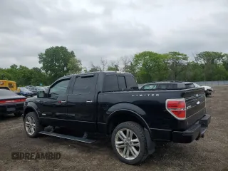 2013 Ford F-150 XL with VIN 1FTFW1ET8DFB03249, listed as a Copart auction lot 57122515 with 113,124 mi miles and Salvage title. Bid and sale history available at DreamBid. Image 2.