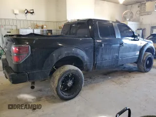 2014 Ford F-150 XL with VIN 1FTFW1ET3EFA61011, listed as a Copart auction lot 46049315 with 169,089 mi miles and Salvage Title. Bid and sale history available at carsss.com. Image 3.
