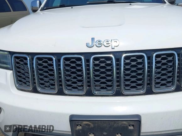 2019 Jeep Grand Cherokee Limited with VIN 1C4RJFBG8KC593755, listed as a IAAI auction lot 42500849 with 287,858 mi miles and . Bid and sale history available at DreamBid. Image 6.