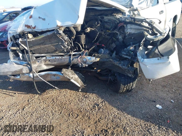2002 Dodge 1500 with VIN 1D7HA16K42J245062, listed as a IAAI auction lot 41820343 with Not Provided miles and . Bid and sale history available at DreamBid. Image 6.