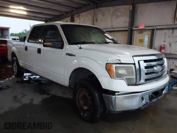 2009 Ford F-150 XL with VIN 1FTPW14V39KB73229, listed as a IAAI auction lot 42196313 with 271,782 mi miles and . Bid and sale history available at DreamBid. Image 1.
