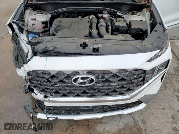 2022 Hyundai Santa Fe Calligraphy with VIN 5NMS54AL1NH466537, listed as a Copart auction lot 49398865 with 20,016 mi miles and Salvage Title. Bid and sale history available at carsss.com. Image 13.