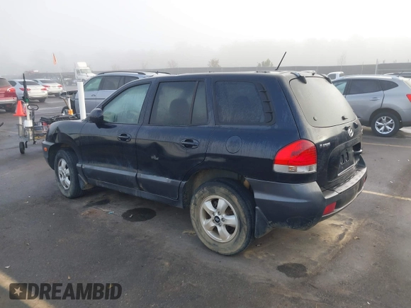 2005 Hyundai Santa Fe GLS with VIN KM8SC73D45U994851, listed as a IAAI auction lot 40705312 with 135,459 mi miles. Bid and sale history available at carsss.com. Image 3.
