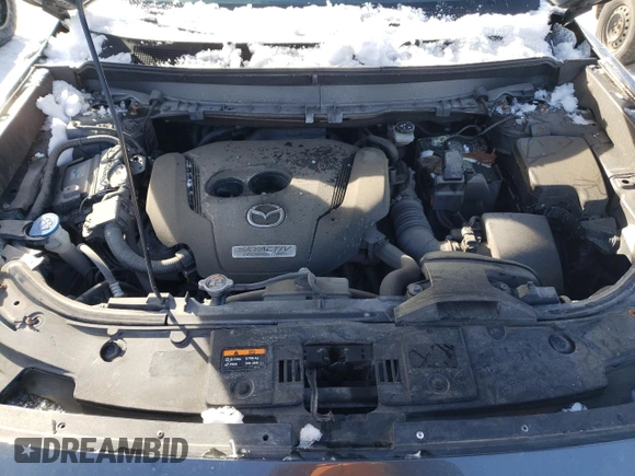 2017 Mazda CX-9 Touring with VIN JM3TCBCY6H0138596, listed as a Copart auction lot 42777925 with 88,936 mi miles and Salvage Title. Bid and sale history available at carsss.com. Image 12.