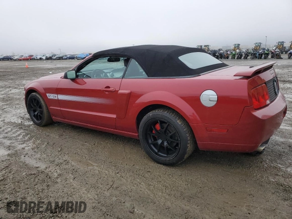 2009 Ford Mustang GT with VIN 1ZVHT85H395116989, listed as a Copart auction lot 44259475 with 98,104 mi miles and Salvage title. Bid and sale history available at DreamBid. Image 2.
