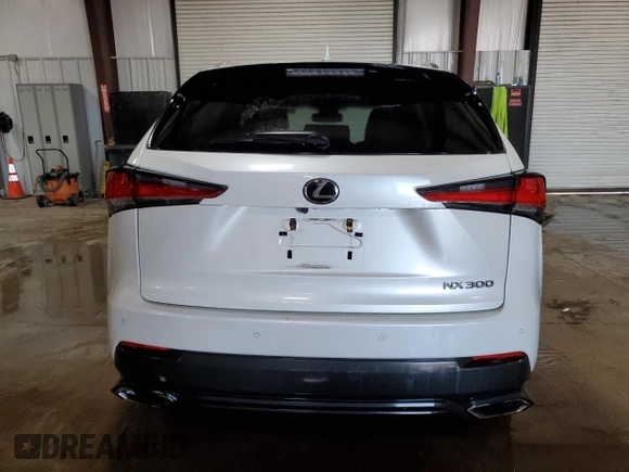 2018 Lexus NX with VIN JTJBARBZXJ2161979, listed as a Copart auction lot 48890045 with 86,590 mi miles and Salvage Title. Bid and sale history available at carsss.com. Image 6.