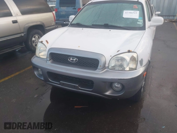 2003 Hyundai Santa Fe GLS with VIN KM8SC73D53U346562, listed as a IAAI auction lot 41706515 with 192,883 mi miles. Bid and sale history available at carsss.com. Image 6.