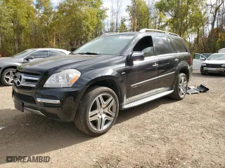 2010 Mercedes-Benz GL-Class GL 350 BlueTEC with VIN 4JGBF2FE4AA538469, listed as a Copart auction lot 75174524 with 257,044 mi miles and Clean Title. Bid and sale history available at carsss.com. Image 1.