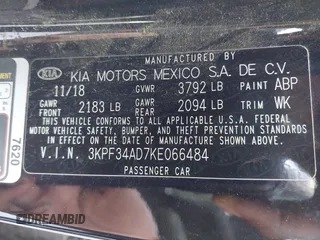 2019 Kia Forte S with VIN 3KPF34AD7KE066484, listed as a IAAI auction lot 41073964 with 118,946 mi miles. Bid and sale history available at carsss.com. Image 9.