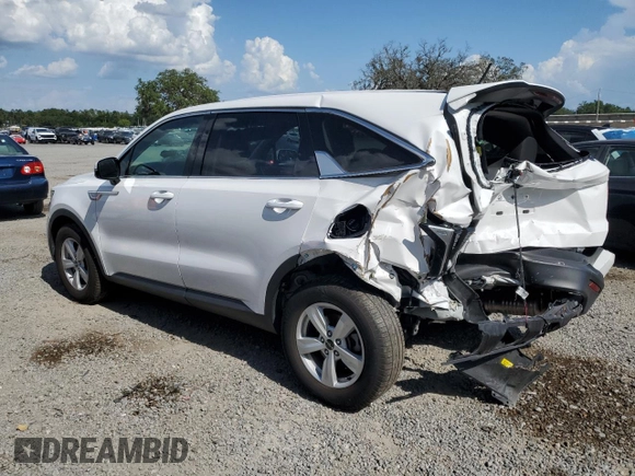 2023 Kia Sorento LX with VIN 5XYRG4LC5PG164459, listed as a Copart auction lot 57391905 with 58,452 mi miles and Salvage title. Bid and sale history available at DreamBid. Image 2.