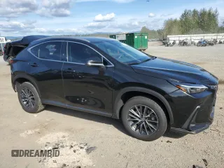 2022 Lexus NX with VIN 2T2GKCEZ8NC004372, listed as a Copart auction lot 67303123 with 16,217 mi miles. Bid and sale history available at carsss.com. Image 4.