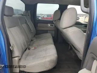 2009 Ford F-150 XL with VIN 1FTRW12899FA26850, listed as a Copart auction lot 44053435 with 163,491 mi miles and Salvage Title. Bid and sale history available at carsss.com. Image 10.