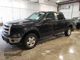 2013 Ford F-150 XL with VIN 1FTFW1EF7DKD61635, listed as a Copart auction lot 49081274 with 223,902 mi miles and Non repairable. Bid and sale history available at DreamBid. Image 1.