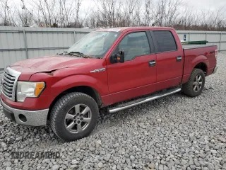 2010 Ford F-150 XL with VIN 1FTEW1E8XAFD90161, listed as a Copart auction lot 86384894 with Not Provided miles and Salvage Title. Bid and sale history available at carsss.com. Image 1.