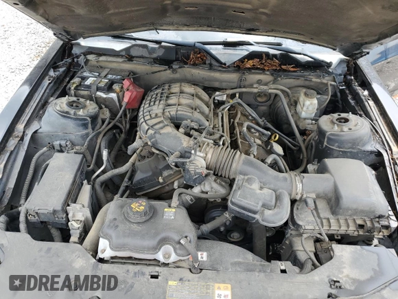 2012 Ford Mustang Premium with VIN 1ZVBP8AM3C5238434, listed as a Copart auction lot 58923145 with 265,039 mi miles and Clean title. Bid and sale history available at DreamBid. Image 11.