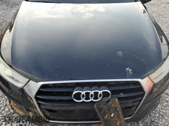 2016 Audi Q3 Premium Plus с VIN WA1BFCFSXGR001044, выставлен на аукционе Copart как лот 59535375 с пробегом 147 406 миль миль и Списание • Salvage title. История ставок и продаж доступна на DreamBid. Изображение 12.