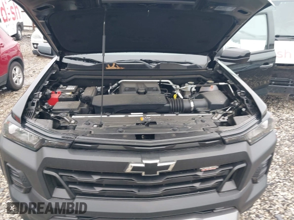 2024 Chevrolet Colorado 4WD Trail Boss with VIN 1GCPTEEK9R1310474, listed as a IAAI auction lot 42114233 with 4,970 mi miles and . Bid and sale history available at DreamBid. Image 10.